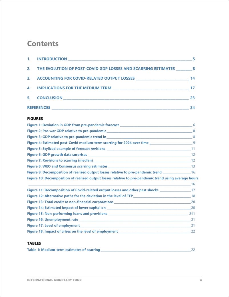 《IMF-重新审视新兴市场的新冠肺炎恐慌（英）-2023.8-26页》 - 第5页预览图