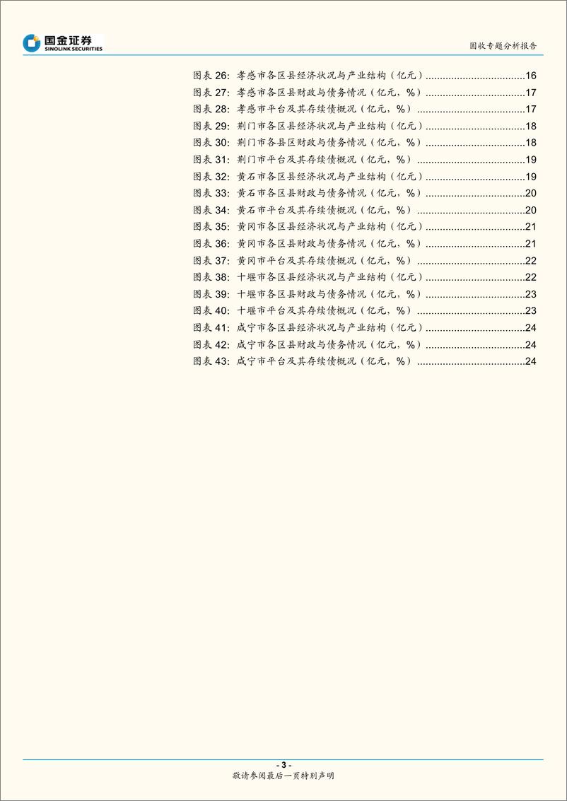 《固收专题分析报告：城投区域系列，聚焦湖北（下）-20220311-国金证券-27页》 - 第4页预览图