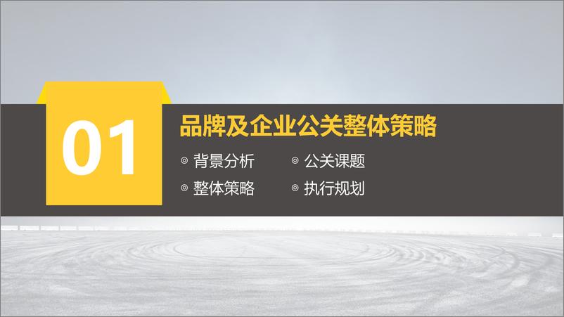 《2019年度DS东风雷诺公关传播策划案【汽车】【品牌营销】》 - 第3页预览图