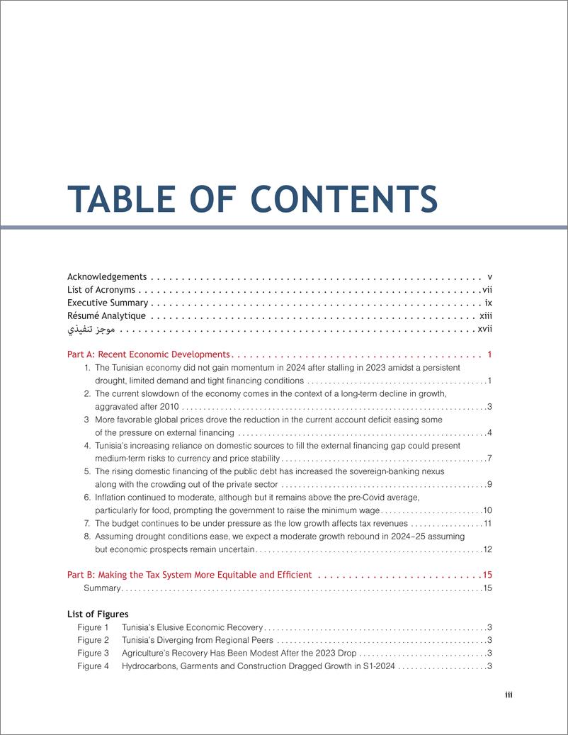 《世界银行-突尼斯经济监测：2024年秋季突尼斯税收制度的公平性和效率（英）-2024-48页》 - 第5页预览图