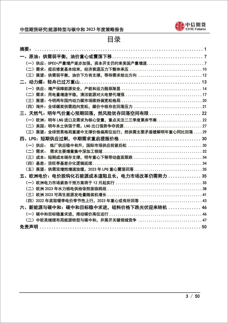 《能源转型与碳中和2023年度策略报告：能源危机退潮，但风险扰动犹存-20221124-中信期货-50页》 - 第4页预览图