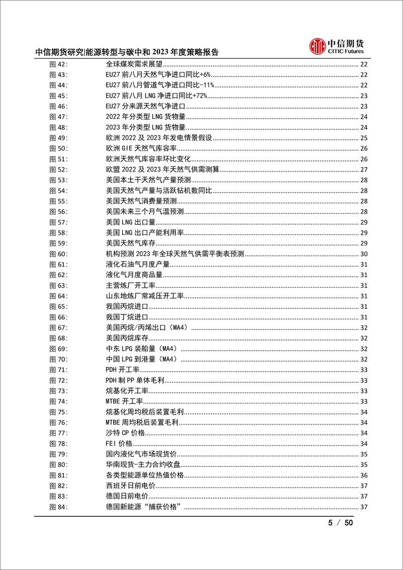 《能源转型与碳中和2023年度策略报告：能源危机退潮，但风险扰动犹存-20221124-中信期货-50页》 - 第6页预览图