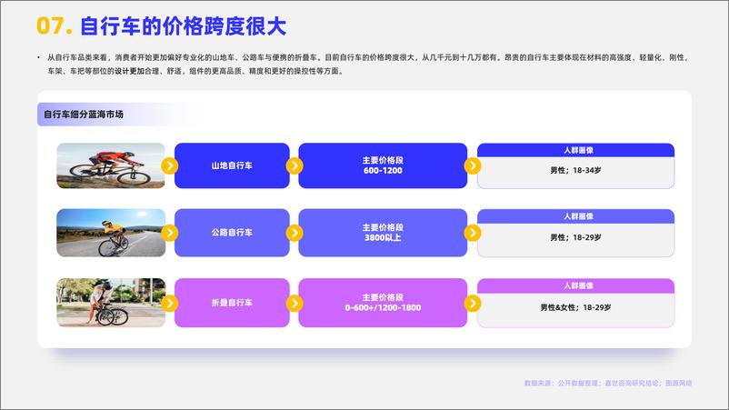 《2024骑行自行车行业简析报告-嘉世咨询》 - 第8页预览图