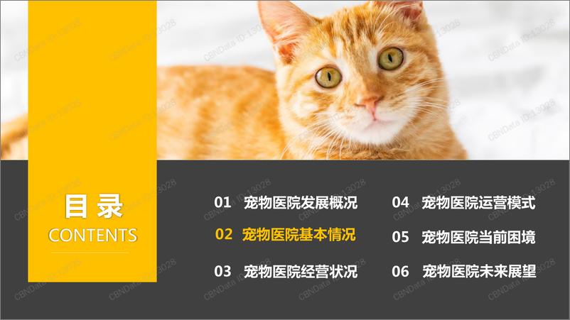《2019中国宠物医院发展报告-2019.5-23页》 - 第6页预览图