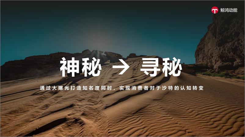 《沙特旅游局X鲸鸿动能整合营销全案案例》 - 第7页预览图