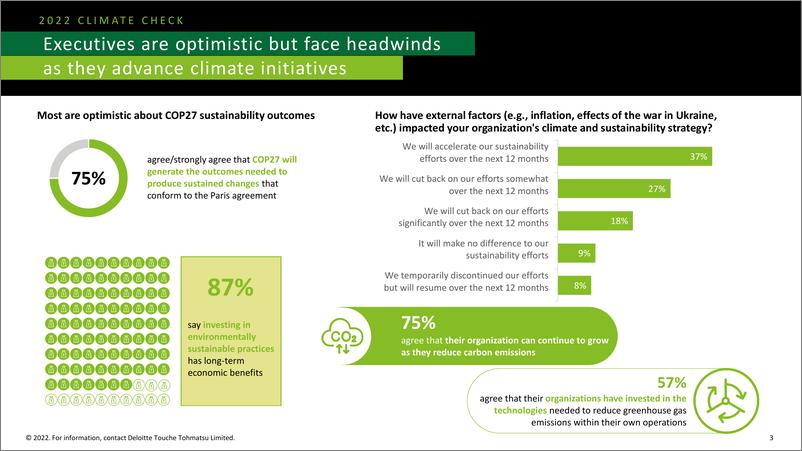 《德勤-2022年气候检查：企业在COP27之前对气候行动的看法（英）-2022.10-11页》 - 第4页预览图