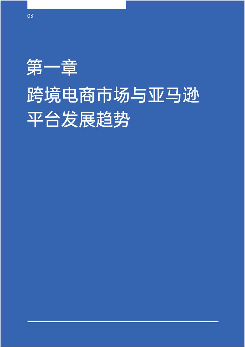 《亚马逊 独立站双轨模式出海策略报告》 - 第4页预览图