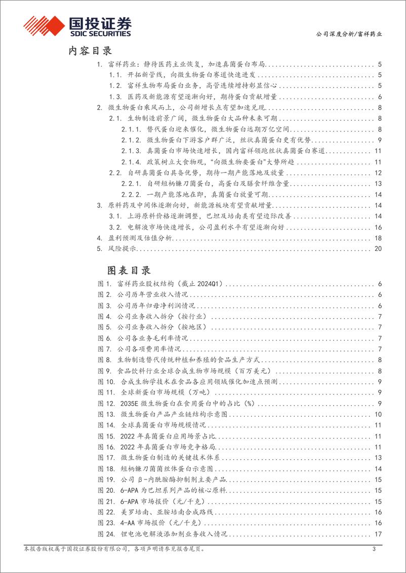 《富祥药业(300497)替代蛋白潜力尽显，未来有望打开成长空间-240715-国投证券-23页》 - 第3页预览图