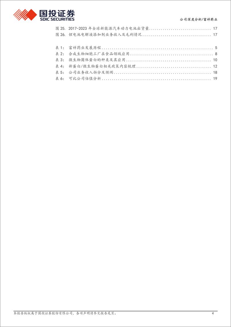 《富祥药业(300497)替代蛋白潜力尽显，未来有望打开成长空间-240715-国投证券-23页》 - 第4页预览图