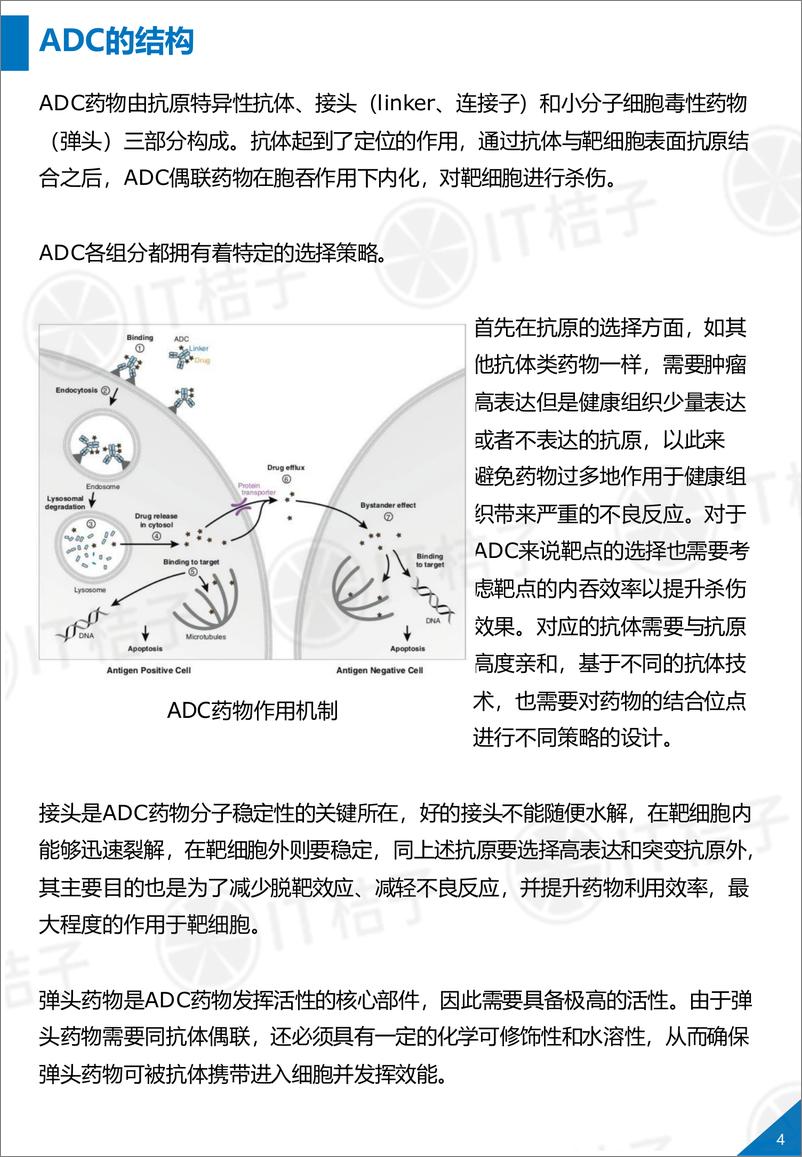 《IT桔子-2020年全球ADC抗体偶联药物行业浅析-2020.5-35页》 - 第6页预览图