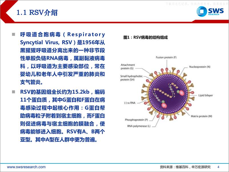 《申万宏源-医药行业重磅疫苗系列深度报告(二)，RSV疫苗：百亿市场待开启-230626》 - 第4页预览图