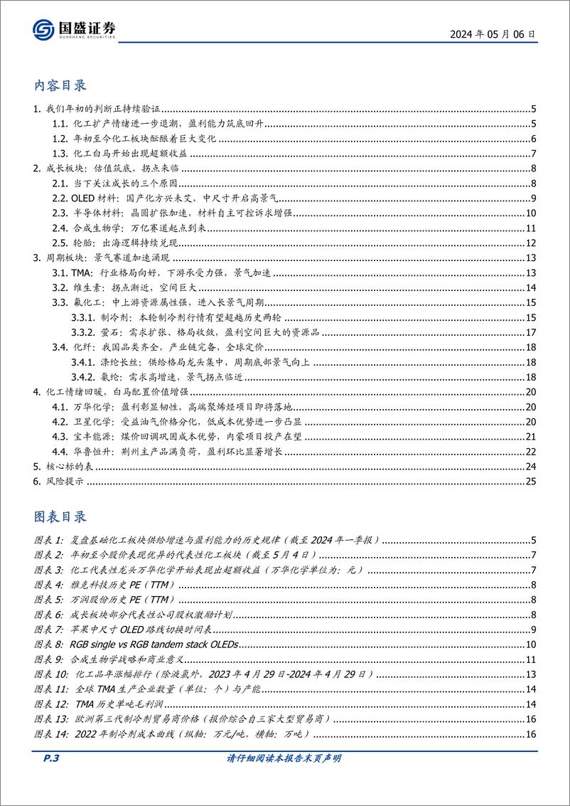 《国盛证券-基础化工：化工迎来破晓，我们看好什么》 - 第3页预览图