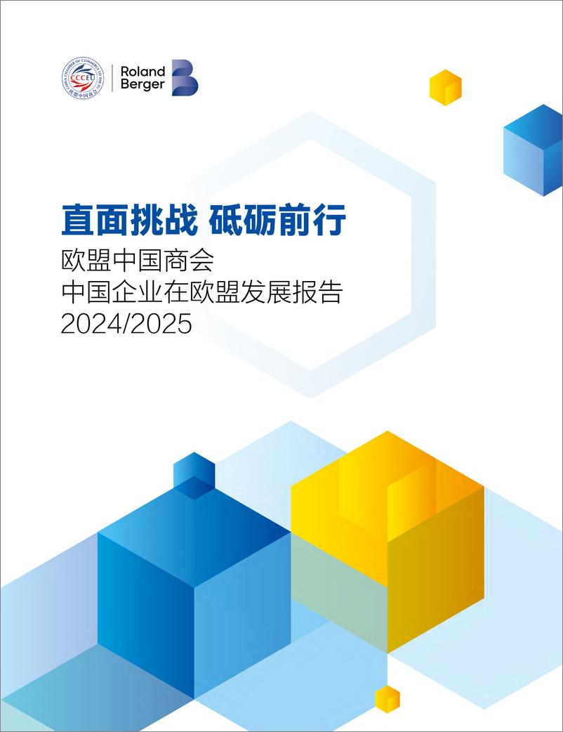 《直面挑战 砥砺前行-中国企业在欧盟发展报告_2024-2025_》 - 第1页预览图