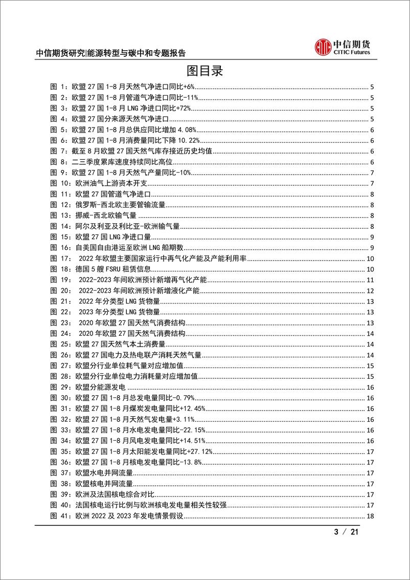 《能源转型与碳中和专题报告：明年欧洲天然气还有危机吗？-20221116-中信期货-21页》 - 第4页预览图