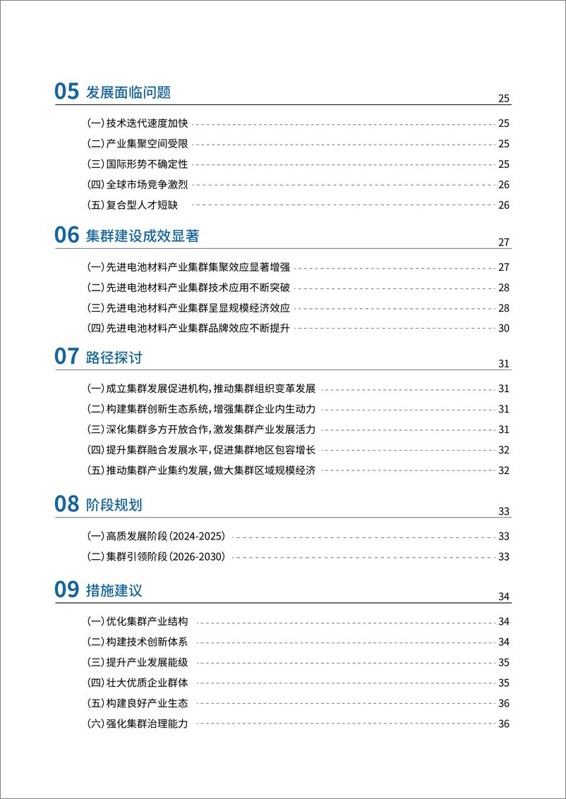 《2024年先进电池材料产业集群白皮书-40页》 - 第5页预览图