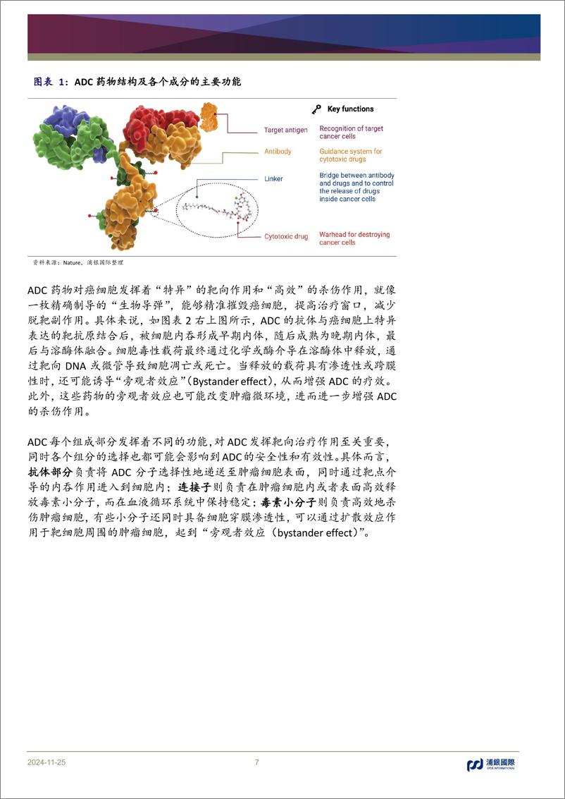 《中国医药行业-ADC行业：中国力量，大有可为-241125-浦银国际-200页》 - 第7页预览图