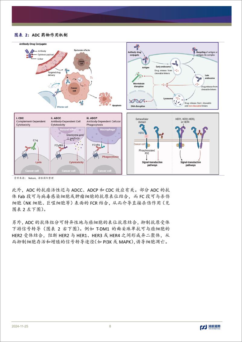 《中国医药行业-ADC行业：中国力量，大有可为-241125-浦银国际-200页》 - 第8页预览图