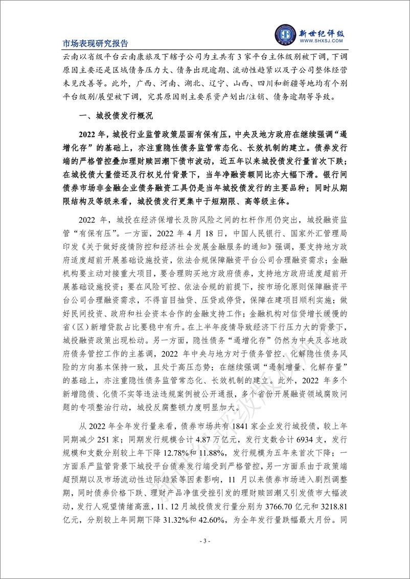 《新世纪评级-2022年城投债发行情况和市场表现分析-23页》 - 第4页预览图