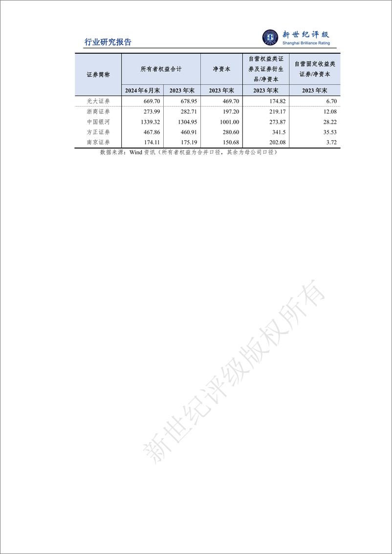 《2024年上半年证券行业信用观察——业务表现-9页》 - 第8页预览图