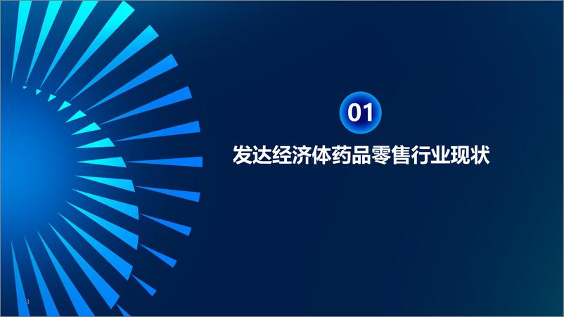 《老百姓大药房_王黎__发达经济体药品零售的发展路径对我们的启示》 - 第3页预览图