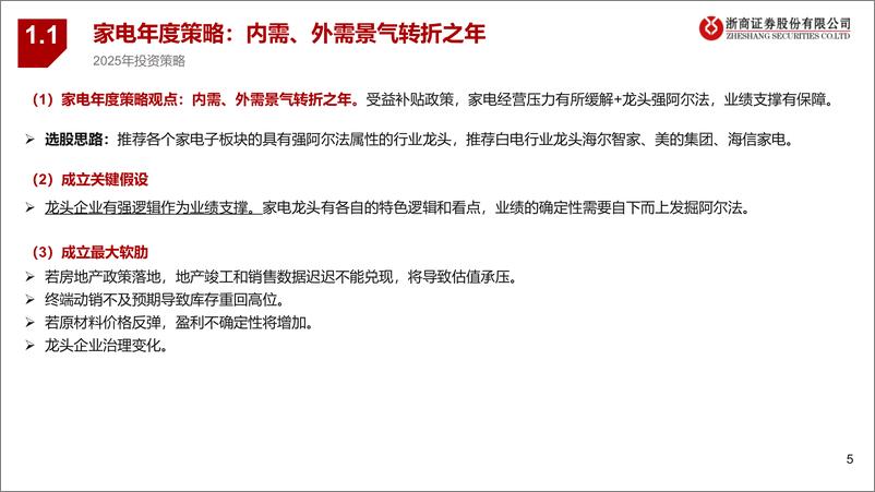 《年度策略报告姊妹篇_2025年家电行业风险排雷手册》 - 第5页预览图