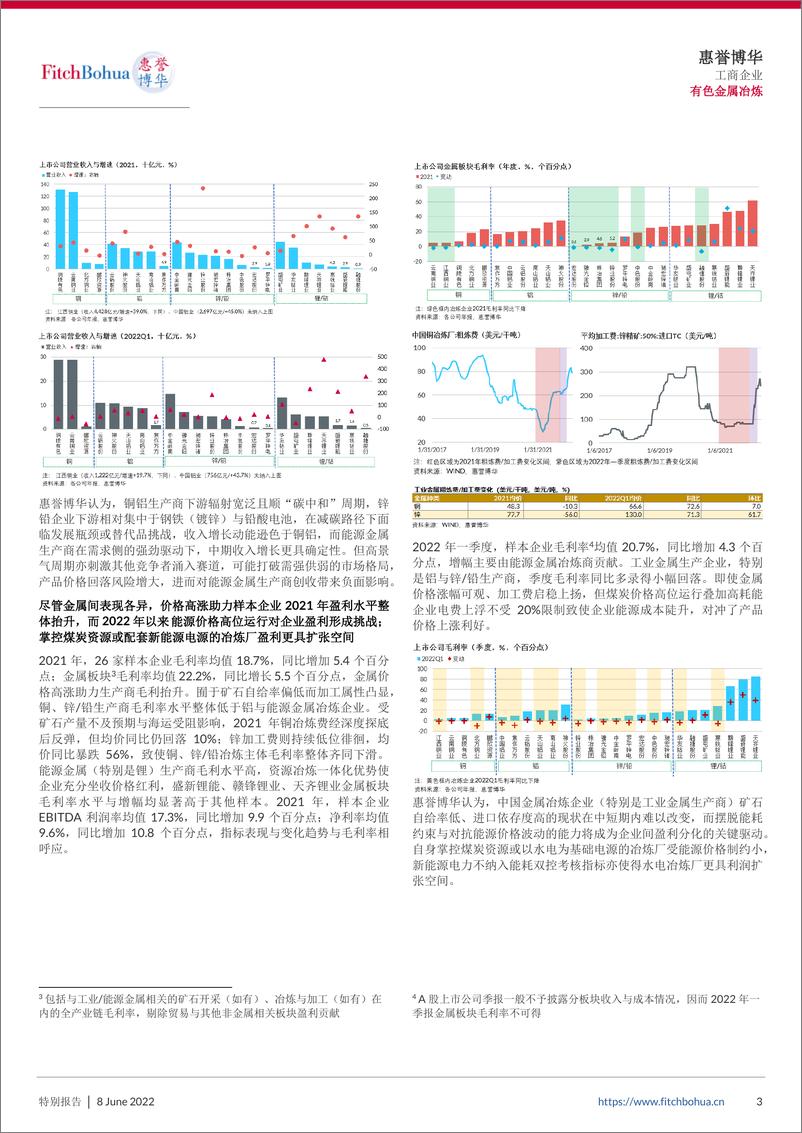 《惠誉博华2022年中期信用观察：工业与能源金属冶炼-6页》 - 第4页预览图