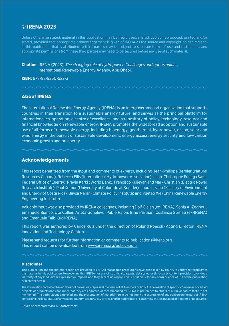 《IRENA-水电的作用变化：挑战与机遇（英）-2023.2-84页》 - 第3页预览图