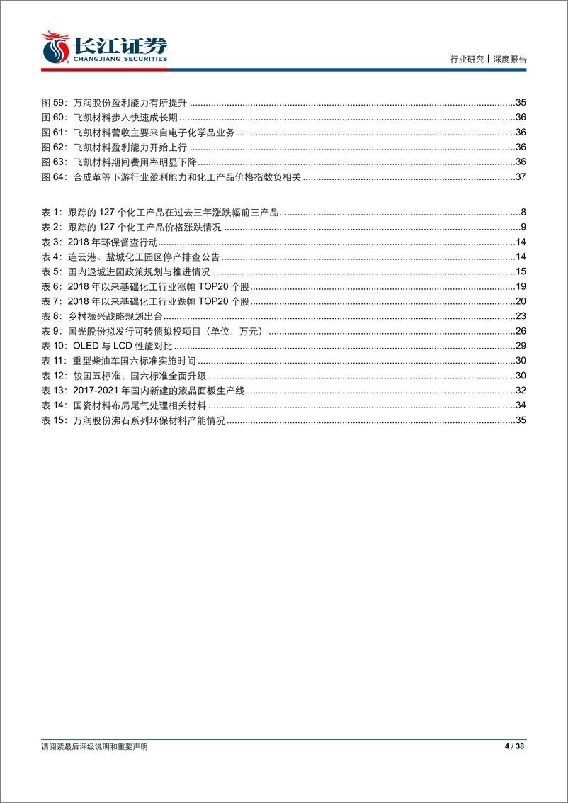 《基础化工行业2019年度策略报告：站在十字路口的乐观-20181227-长江证券-38页》 - 第5页预览图