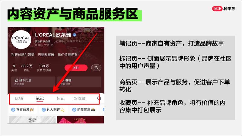 《小红书运营_2024小红书课件_三招教你账户成长_》 - 第8页预览图