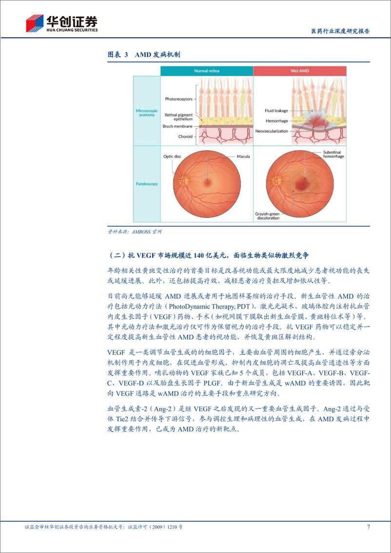 《医药行业深度研究报告-创新药系列研究：眼科疗法超长效时代即将来临-240508-华创证券-34页》 - 第7页预览图