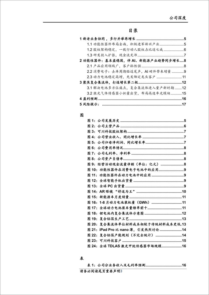 《可川科技(603052)深度报告：稳固功能性器件基本盘，拓展复合集流体第二极-250106-上海证券-20页》 - 第3页预览图