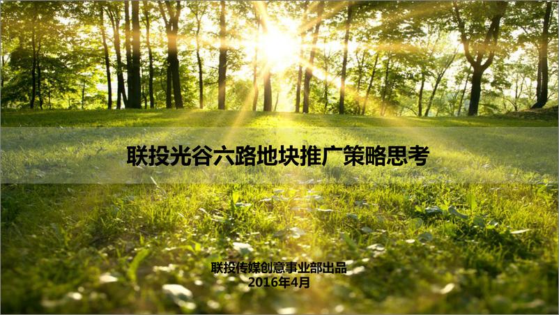 《2016-2016联投光谷六路地块推广策略》 - 第2页预览图
