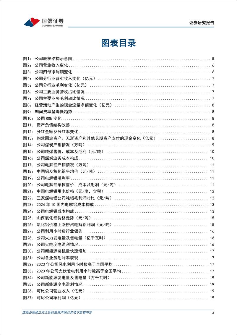 《电投能源(002128)锂电铝协同发展，成长稳健-241119-国信证券-30页》 - 第3页预览图