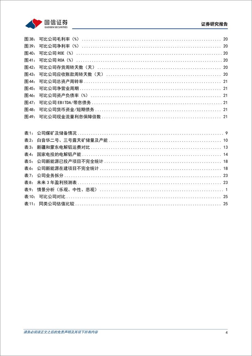 《电投能源(002128)锂电铝协同发展，成长稳健-241119-国信证券-30页》 - 第4页预览图