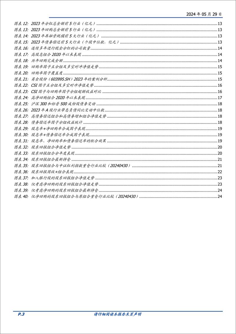 《量化专题报告：超越股息率，从资本配置出发构建股东回报率指标-240529-国盛证券-26页》 - 第3页预览图