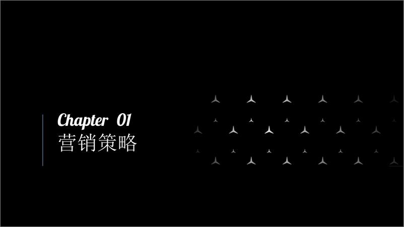 《2023梅赛德斯-奔驰线上联合传播方案》 - 第3页预览图