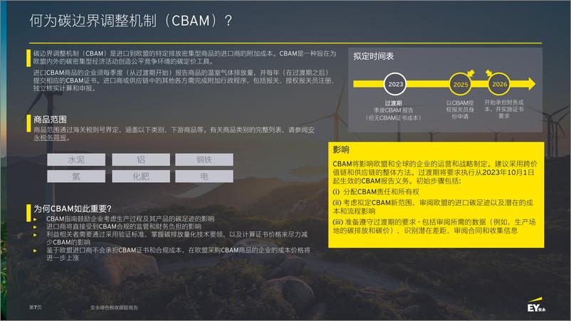 《安永-绿色税收跟踪报告-2023.6-73页》 - 第8页预览图