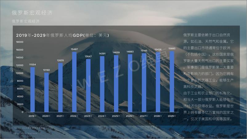 《2024俄罗斯电子商务-维卓》 - 第4页预览图