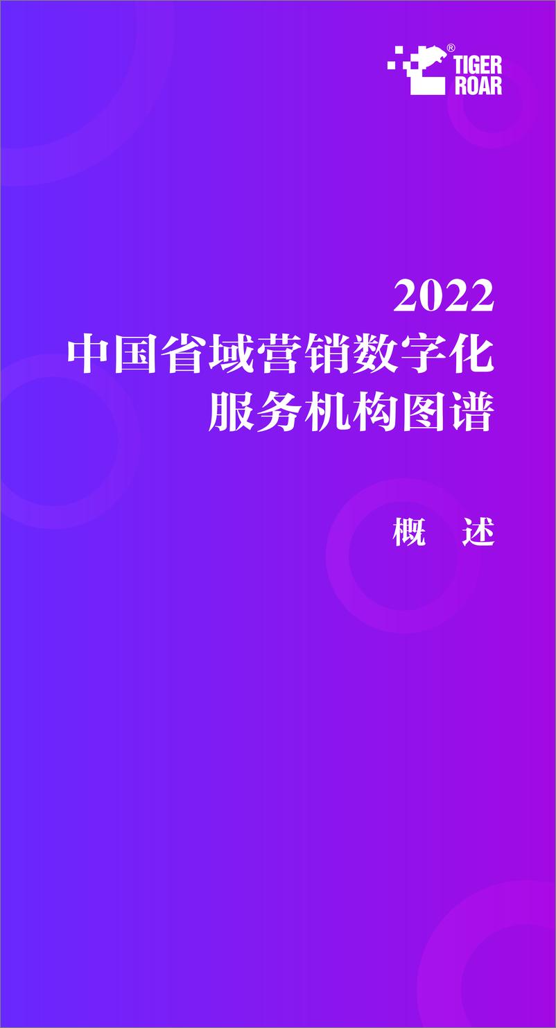 《2022中国省域营销数字化服务机构图谱解读报告-28页》 - 第5页预览图