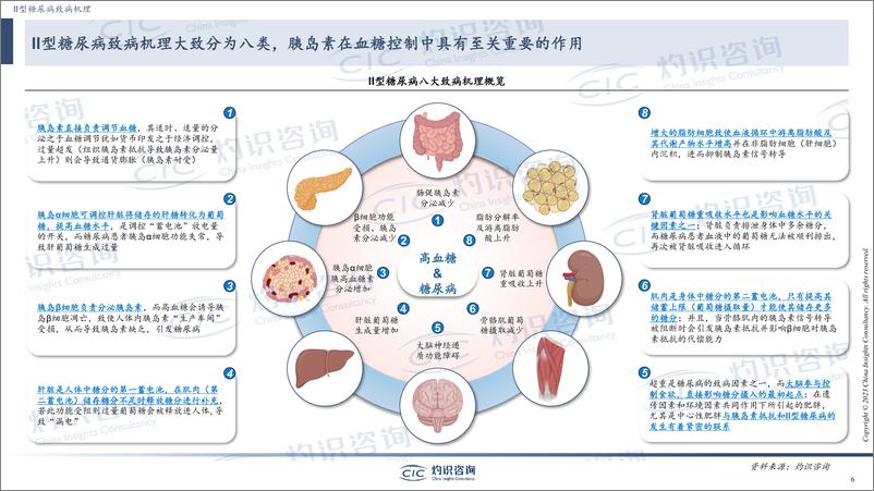 《CIC灼识咨询-口服胰岛素行业蓝皮书-2024-19页》 - 第6页预览图