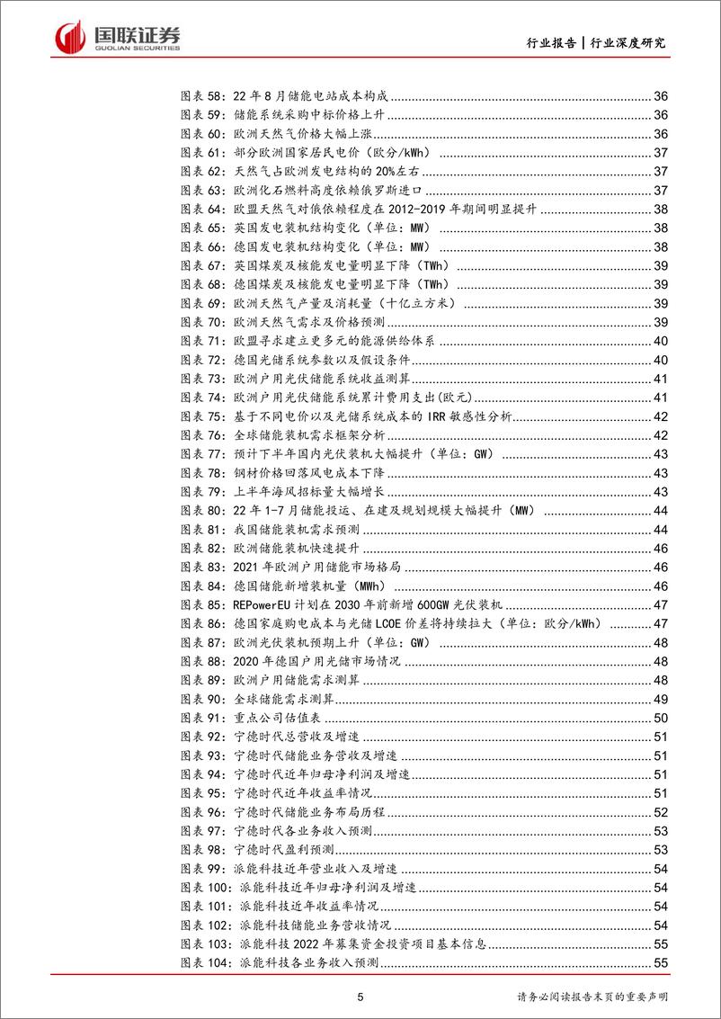 《电力设备与新能源行业：储能系列报告一，海内外需求共振造就优质赛道-20220928-国联证券-63页》 - 第6页预览图