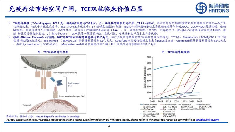 《海通国际-大药的诞生系列报告_T细胞的魔法导弹——TCE双抗行业研究》 - 第4页预览图