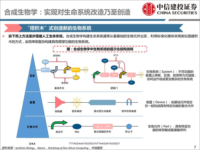 《医药行业：合成生物学，蓬勃朝阳，蒸蒸日上-中信建投-20220427》 - 第8页预览图