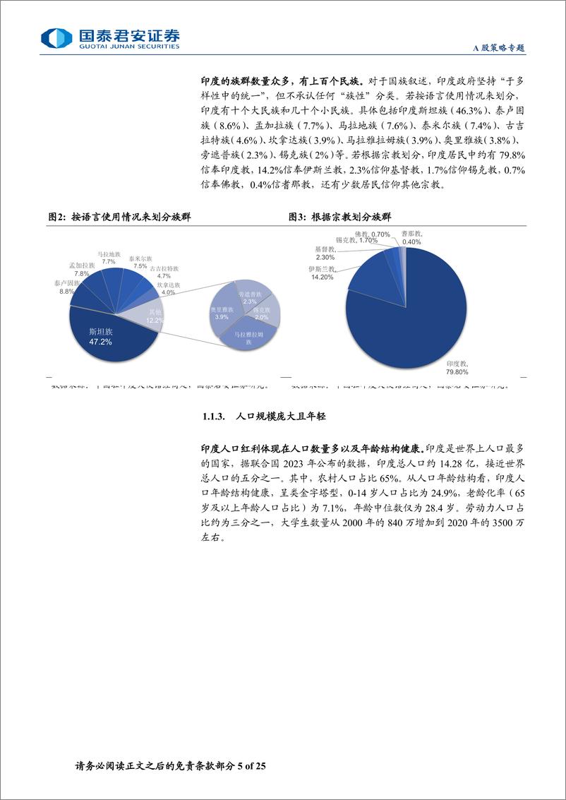 《新兴市场投资研究系列：印度制造的“繁荣”与“挑战”-240712-国泰君安-25页》 - 第5页预览图