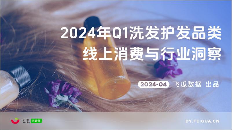 《【飞瓜】2024年Q1洗发护发品类线上消费与行业洞察-29页》 - 第1页预览图