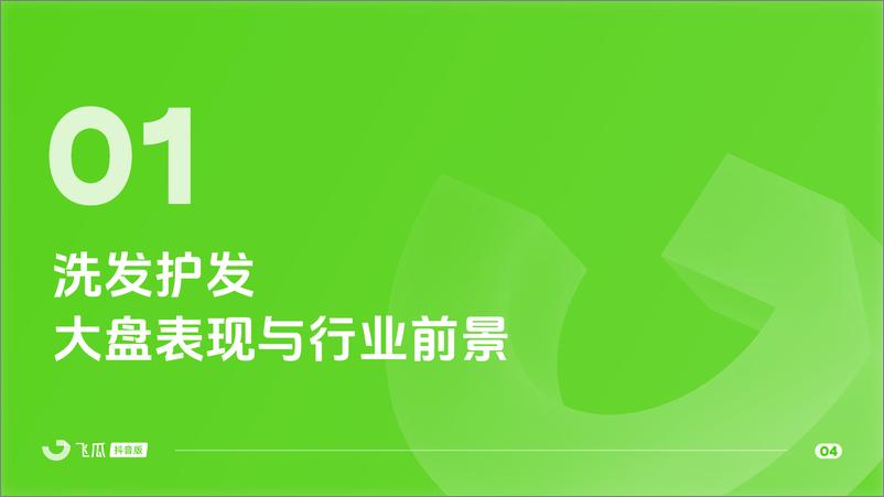 《【飞瓜】2024年Q1洗发护发品类线上消费与行业洞察-29页》 - 第5页预览图