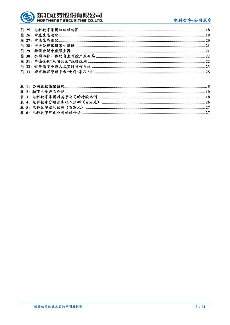 《电科数字(600850)公司深度报告：集团协同增强，数字化%2b国产化驱动成长-241230-东北证券-31页》 - 第3页预览图