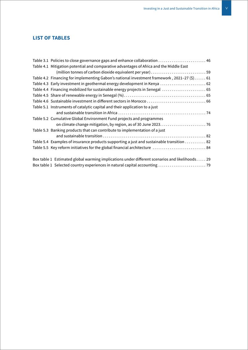 《2024年非洲经济报告-英文版-联合国非洲经济委员会》 - 第7页预览图