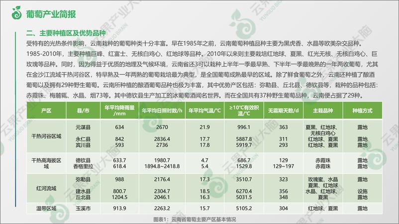 《云南省葡萄产业概况-9页》 - 第3页预览图