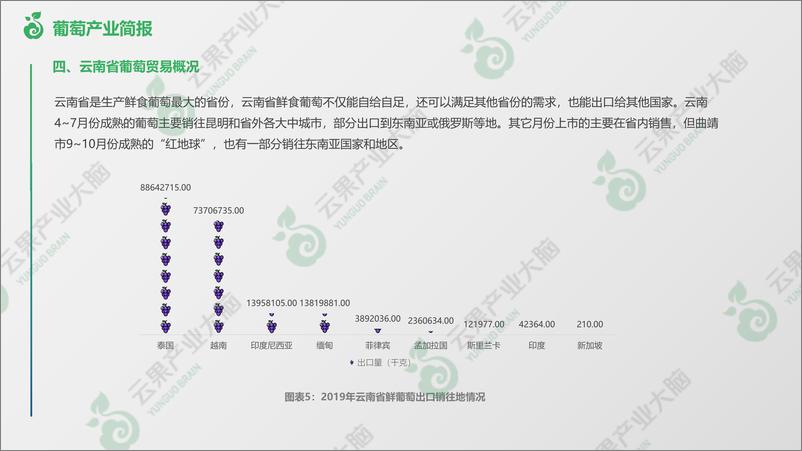 《云南省葡萄产业概况-9页》 - 第7页预览图